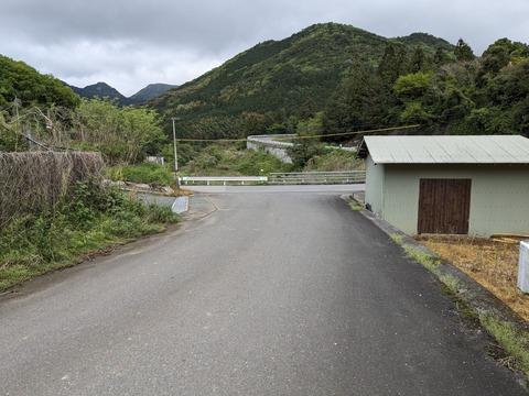 PXL_20240424_025204492