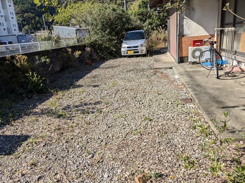 PXL_20241121_034237740