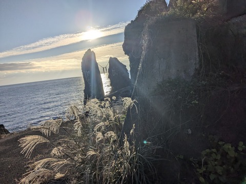 PXL_20241121_224455328