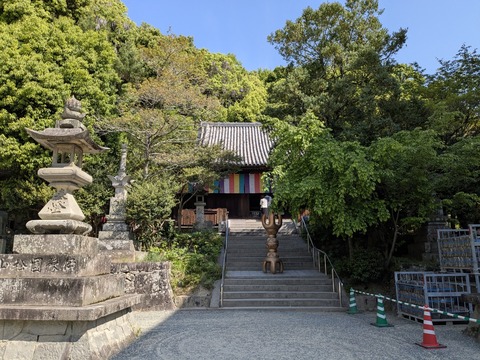 PXL_20250427_001350194