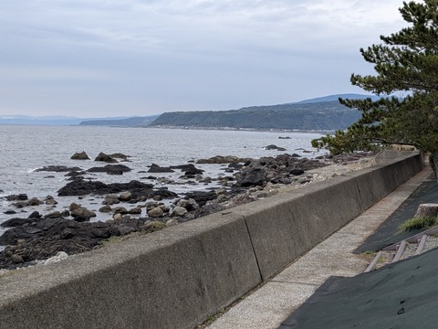 PXL_20251125_021325197