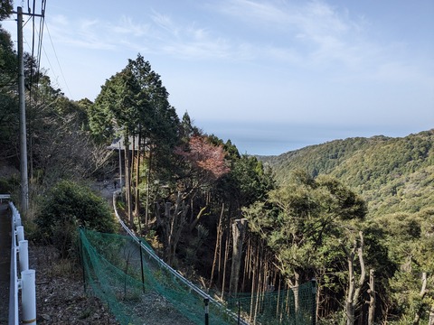 PXL_20240330_003316184