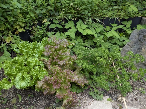 PXL_20250505_072540857