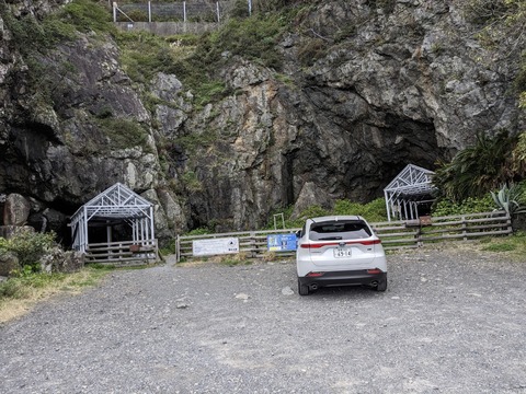 PXL_20240328_023311300