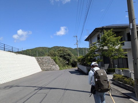 PXL_20250502_005840774