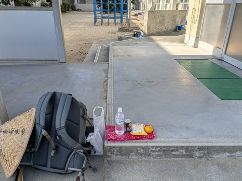 PXL_20251115_021918811