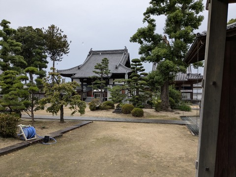 PXL_20241022_051547859