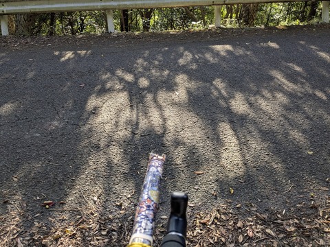 PXL_20251114_234333473