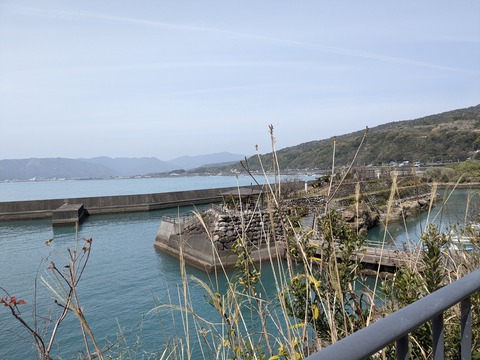 PXL_20240330_034230909