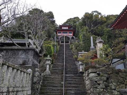 PXL_20240328_055820288