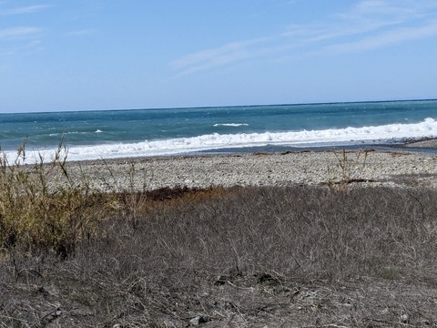 PXL_20240329_024445998