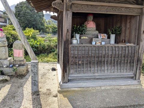 PXL_20241023_234757862