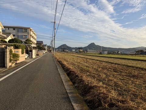 PXL_20241023_220715023