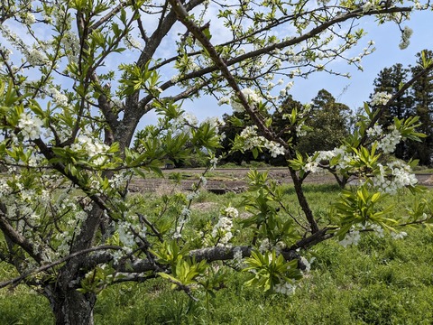 PXL_20240331_022550965