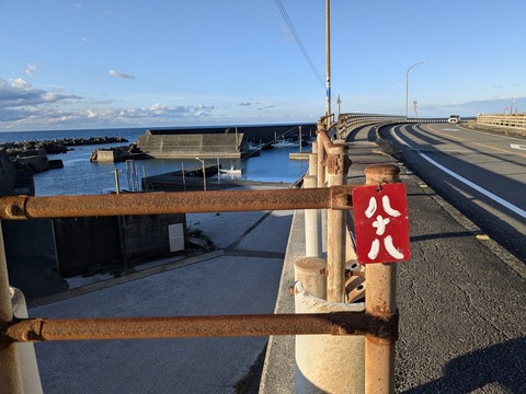 PXL_20241122_225453982