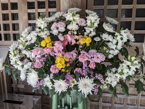 PXL_20240331_002902707