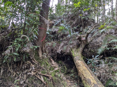 PXL_20241121_002406976.MP