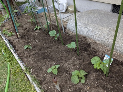 PXL_20250505_072551991