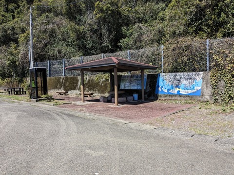 PXL_20240327_024431407