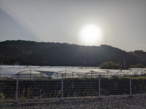 PXL_20240329_221708422