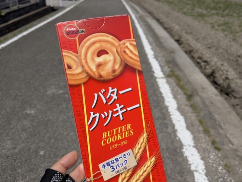 PXL_20250426_025615937