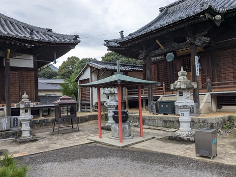 PXL_20241106_004758211