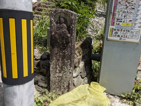 PXL_20240425_030610094