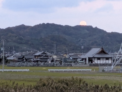 PXL_20251204_215501503