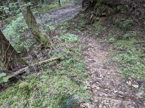 PXL_20240426_055230306.MP