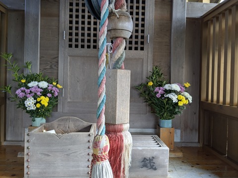 PXL_20251126_235000755