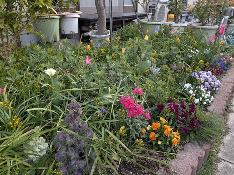 PXL_20250330_214400668