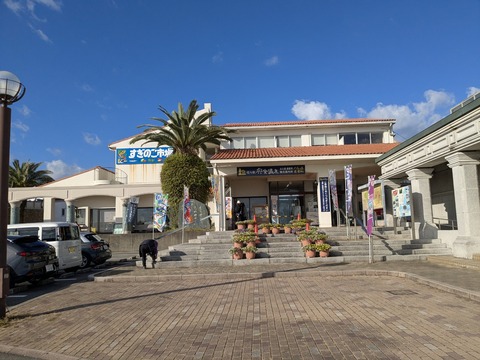 PXL_20251123_000504375