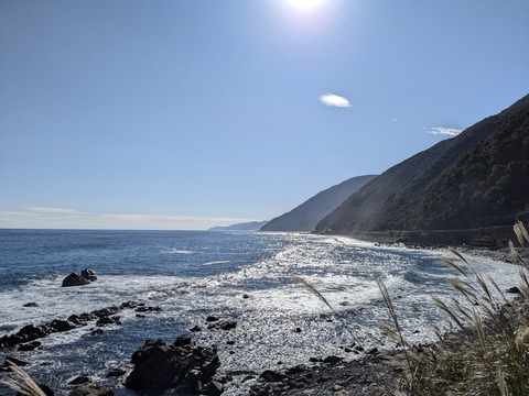 PXL_20241121_043230229