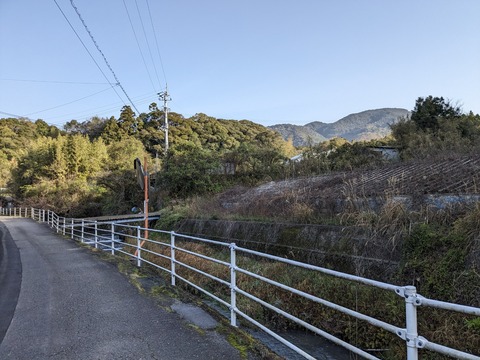 PXL_20240329_222741942