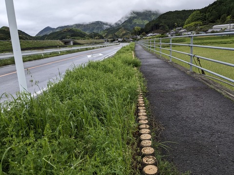 PXL_20240424_000627582