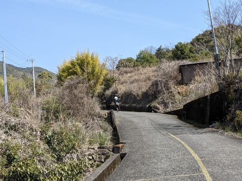 PXL_20240330_014447375