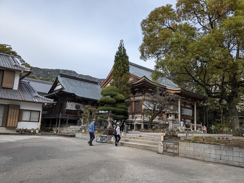 PXL_20240331_065152299