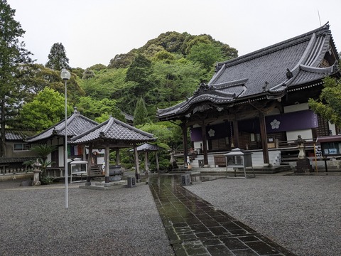 PXL_20240422_223323344