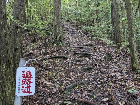 PXL_20240424_014007987