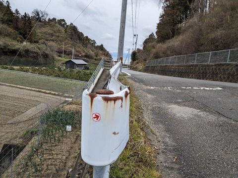 PXL_20240223_024433235