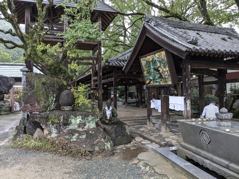 PXL_20241022_234944570