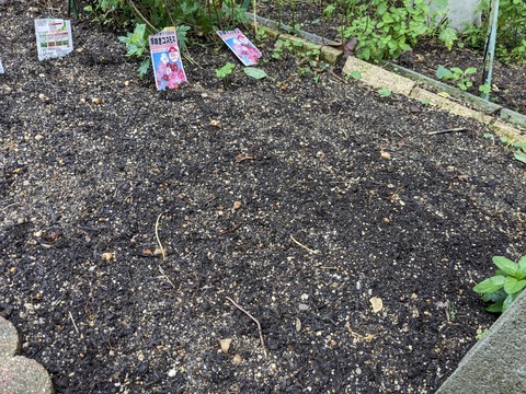 PXL_20240527_000002809