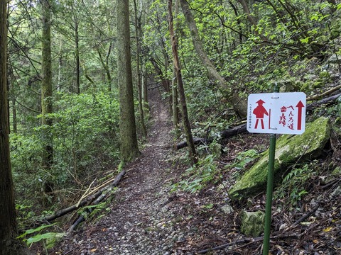 PXL_20240424_015756620