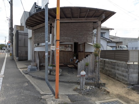 PXL_20251111_043308495