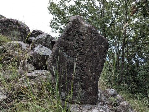 PXL_20250928_025210894