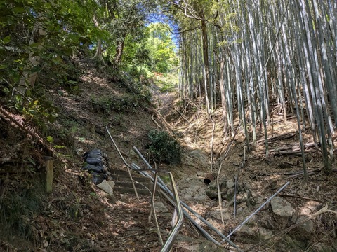 PXL_20250428_235712740