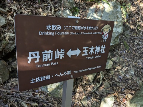 PXL_20241119_230846378