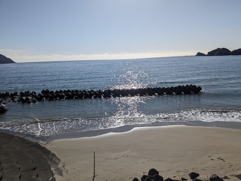 PXL_20240326_231607527