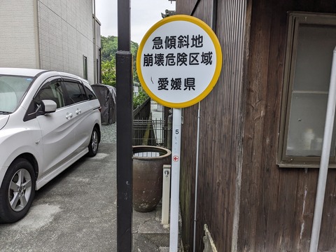 PXL_20240425_211209613