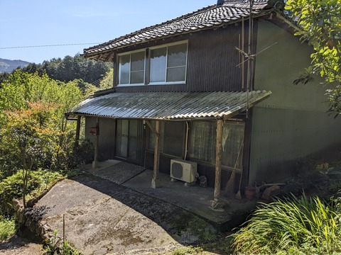 PXL_20240425_015035652